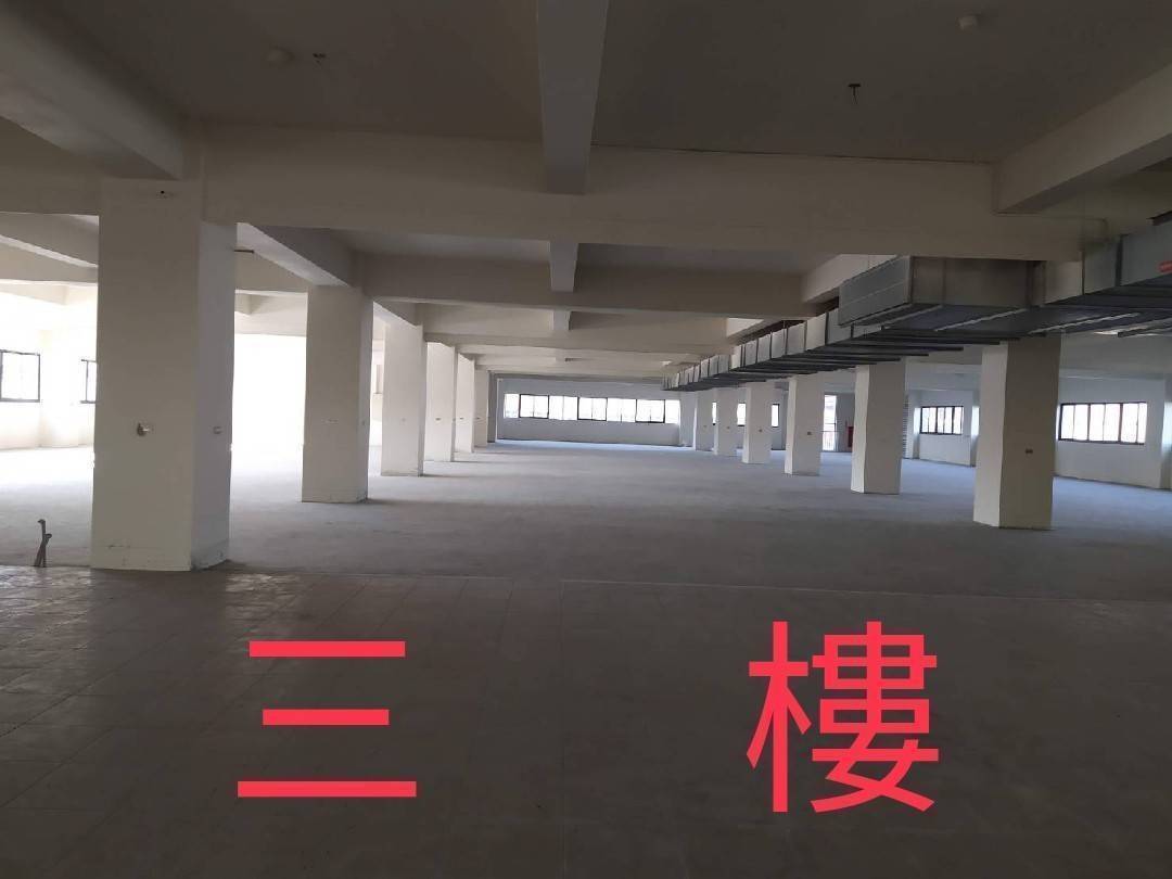 台中市，豐原區-豐洲科技工業園區租售物件照片第7張