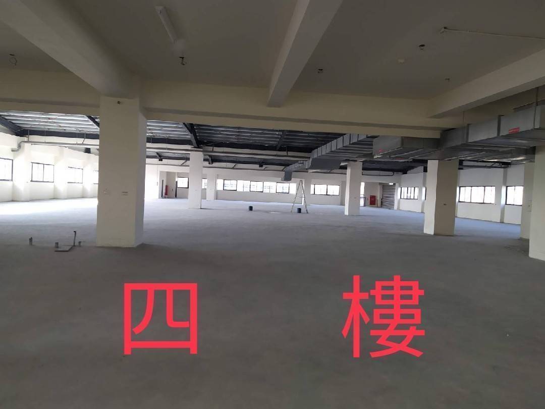 台中市，豐原區-豐洲科技工業園區租售物件照片第8張