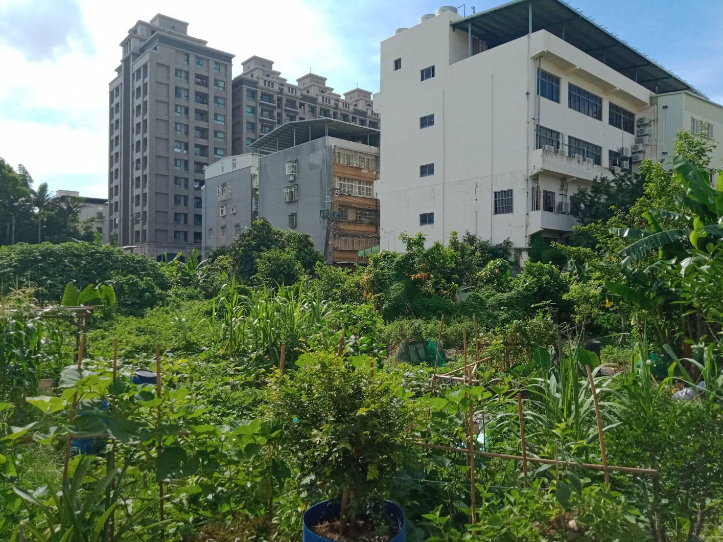 桃園市-其他工業用地租售物件照片第7張