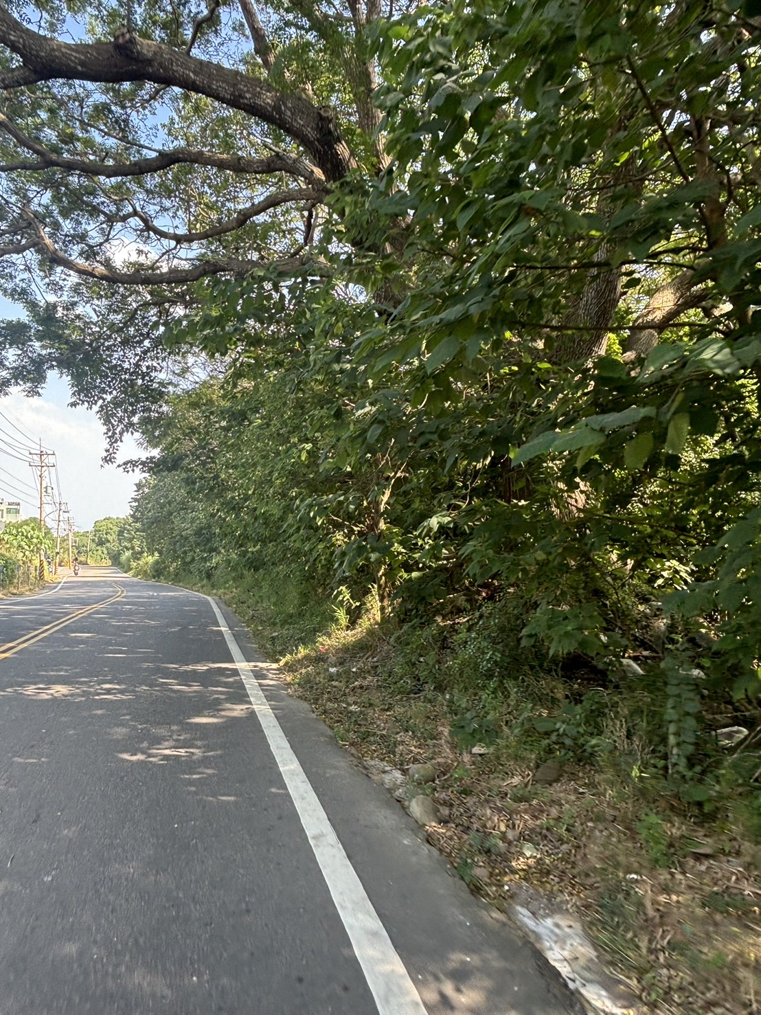 台中市，南屯區-台中產業園區租售物件照片第4張