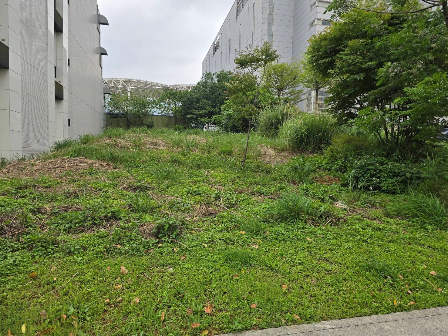 桃園市龜山區其他工業用地